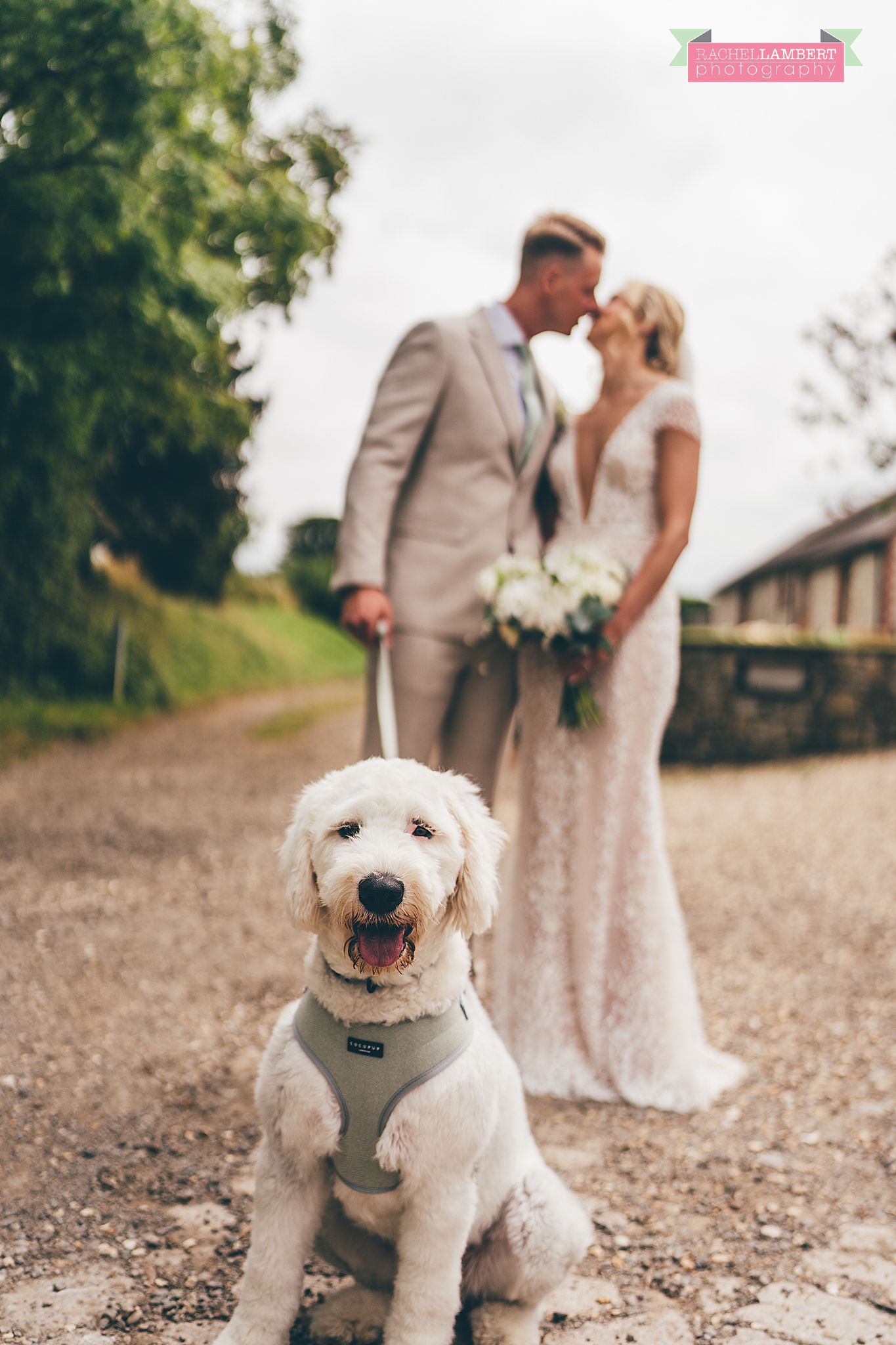 Wedding Rosedew Farm