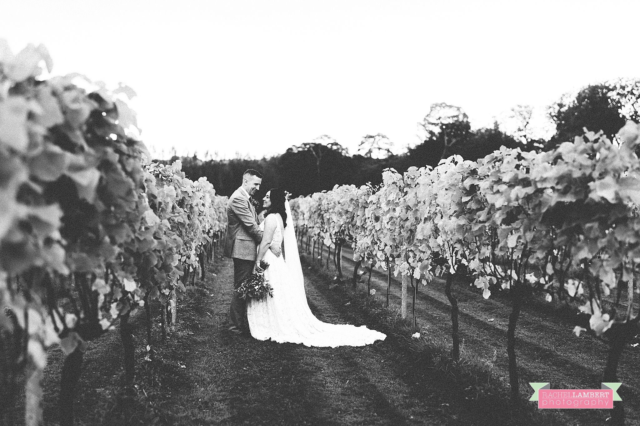 Wedding Llanerch Vineyard rachel lambert photography bride and groom portraits couple shots