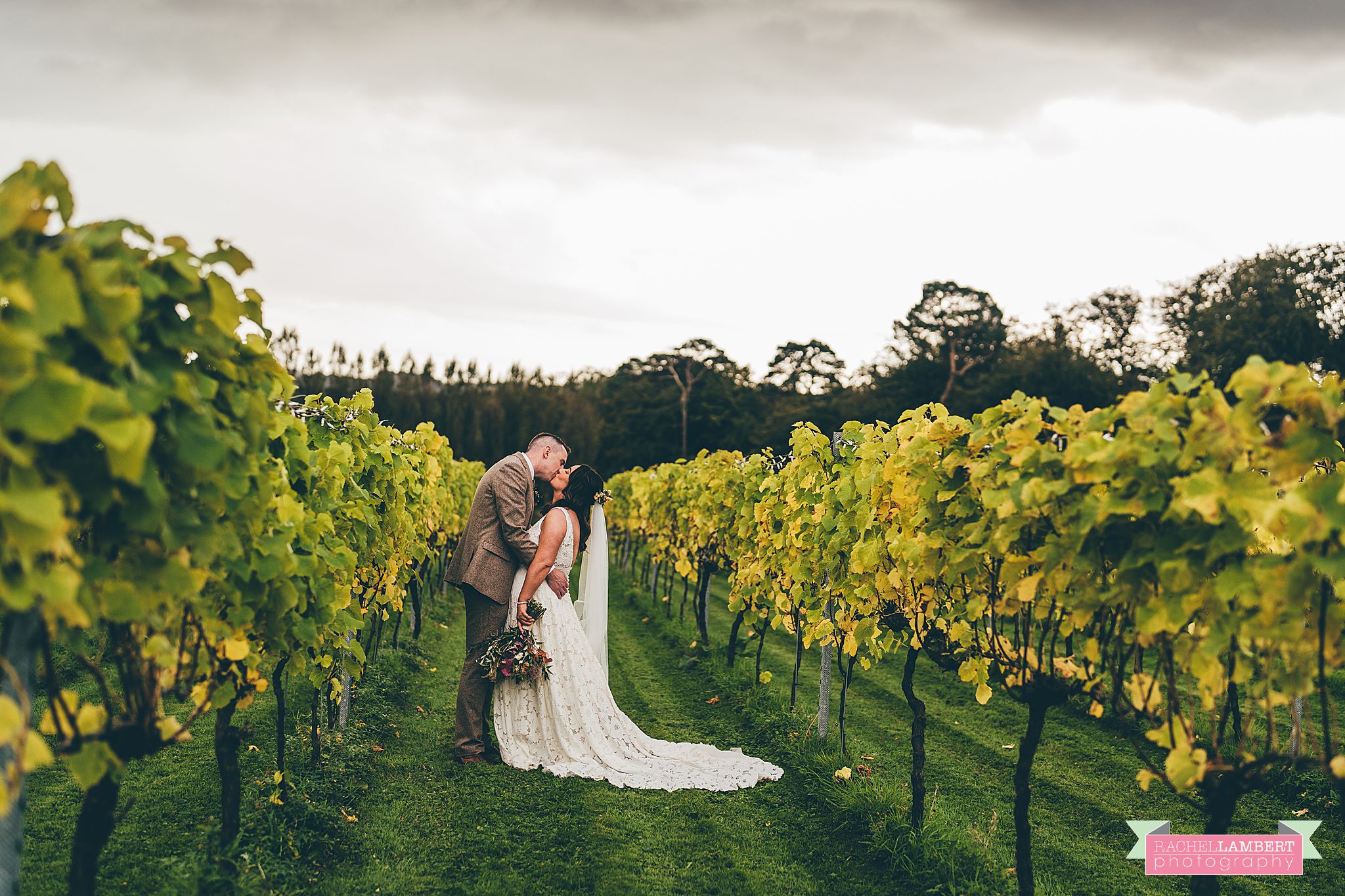 Wedding Llanerch Vineyard rachel lambert photography bride and groom portraits couple shots