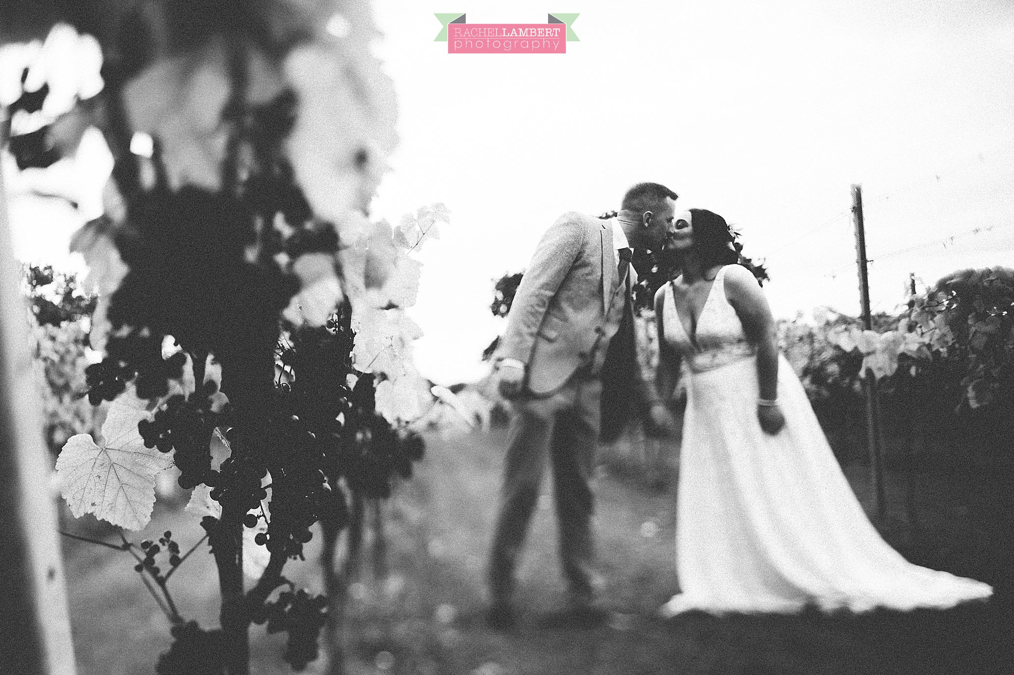 Wedding Llanerch Vineyard rachel lambert photography bride and groom portraits couple shots